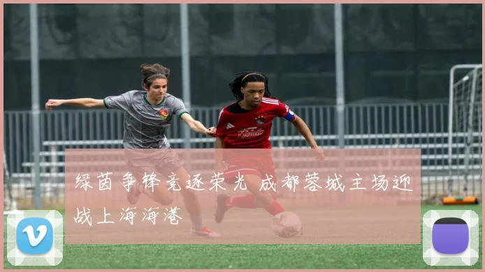 绿茵争锋竞逐荣光 成都蓉城主场迎战上海海港
